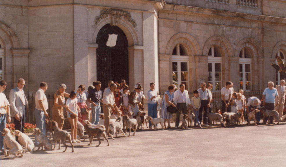 Néris-les-Bains, 1985