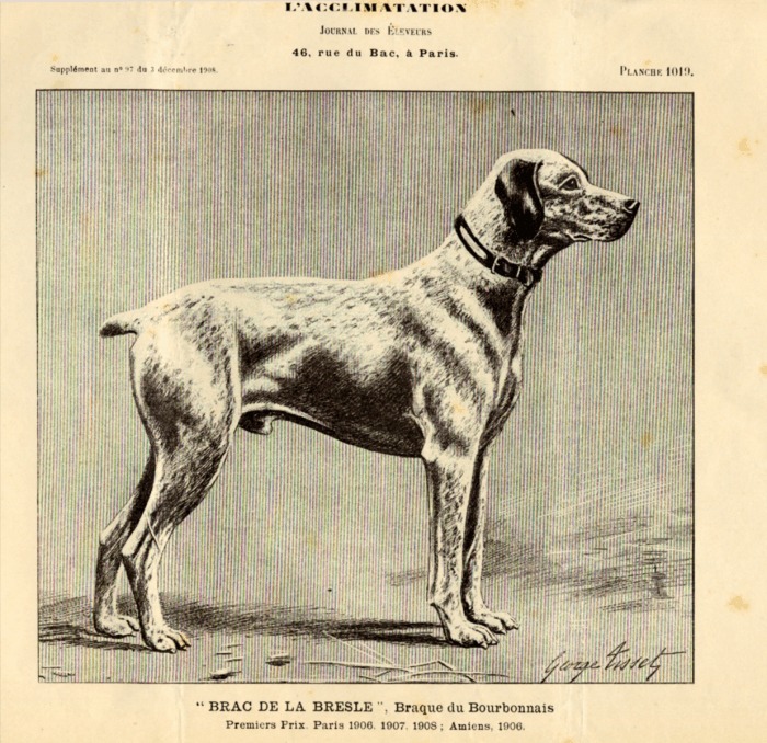 Brac De La Bresle 1908