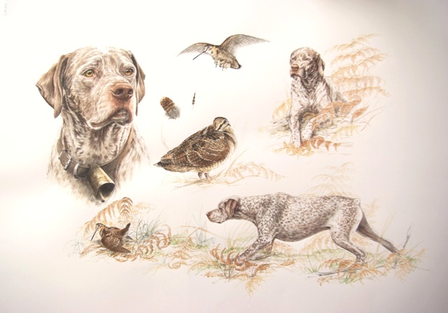 Radjah par Aline Michel-Rouxel