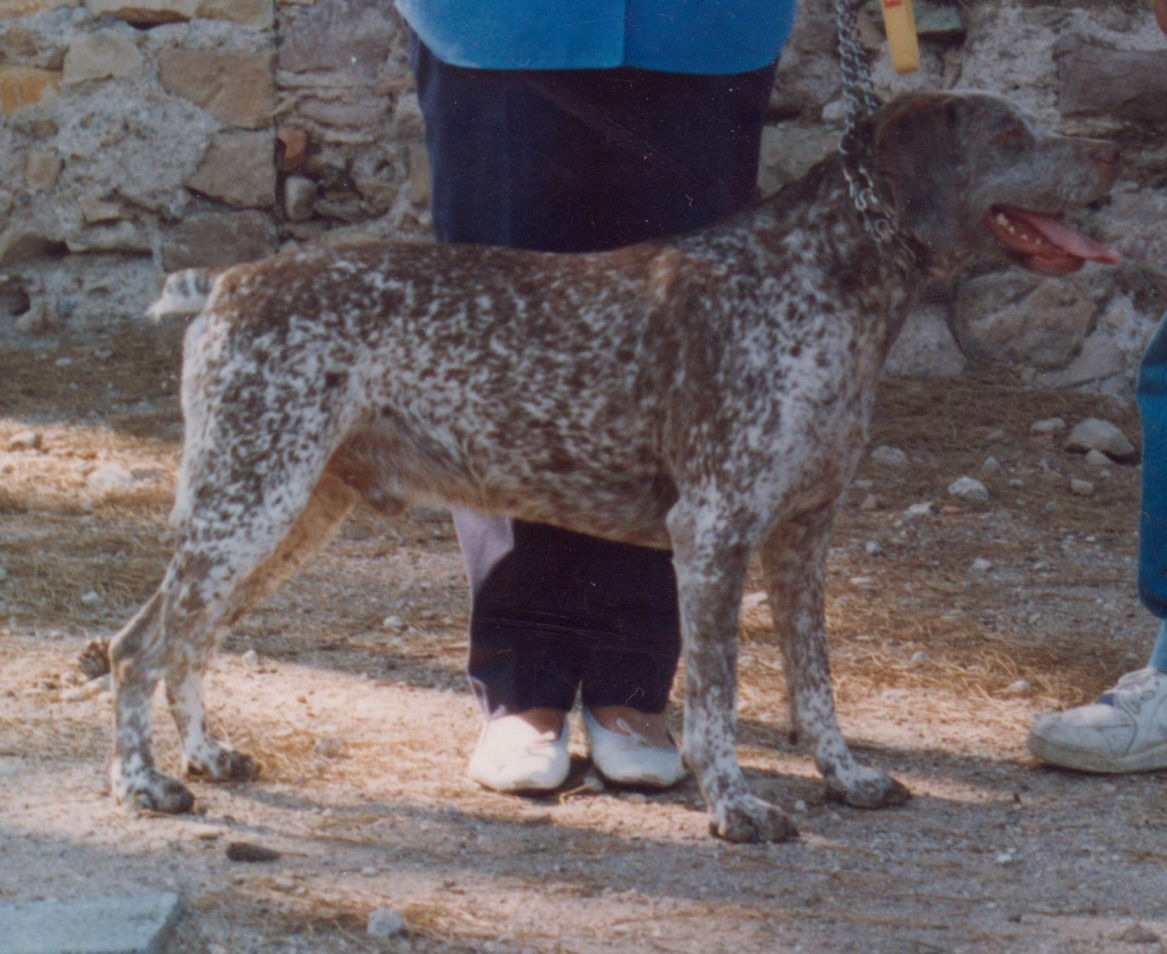 Eole de Julius Forum