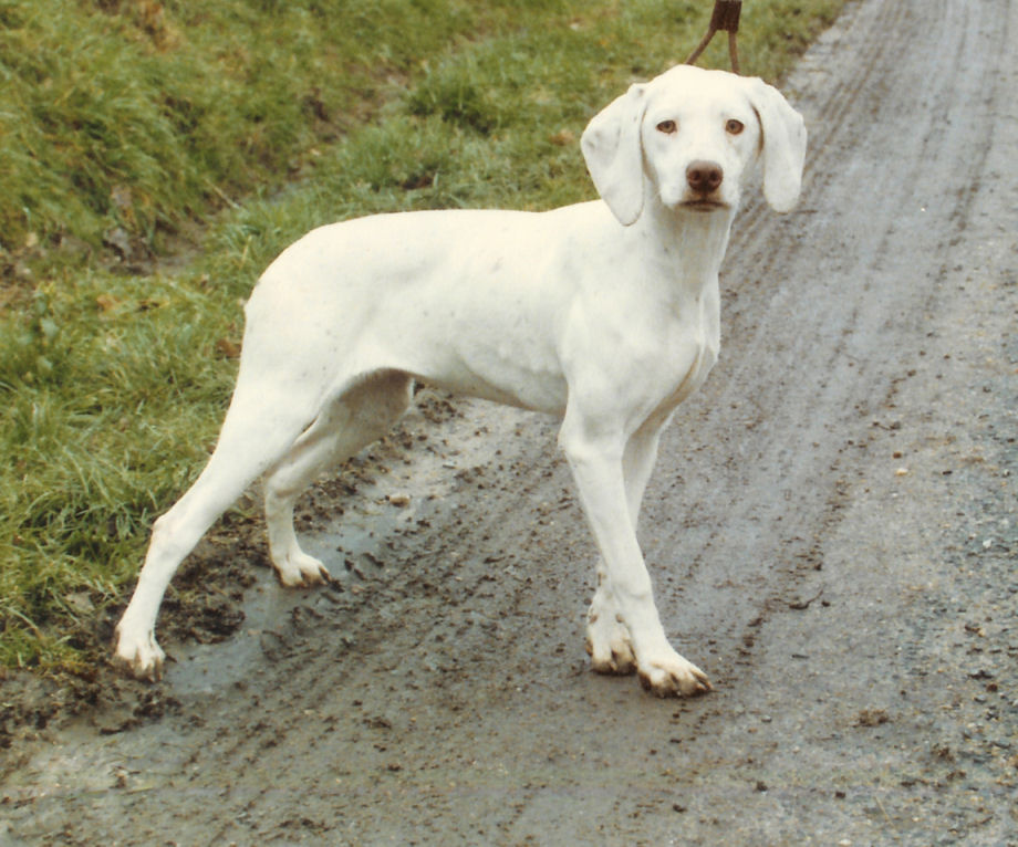 Uno du Rocher des Jastres