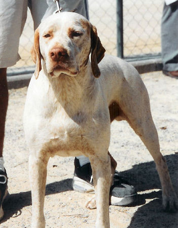 Majax de la Mare aux Grives