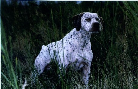 Nohlac de la Croix Saint Loup
