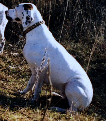 Onyx des Demoiselles de Ferrières