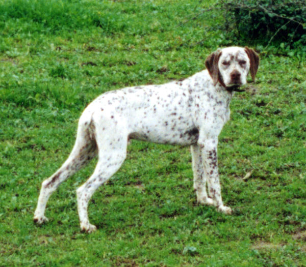 Pink2 du Rocher des Jastres