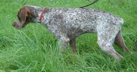 Baap du Fief d'Epsom