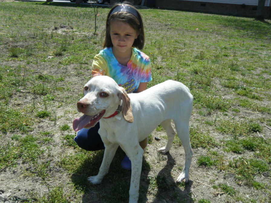 Braques Point Alisanne