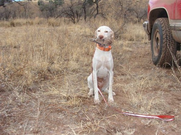 Cliquer pour agrandir/réduire