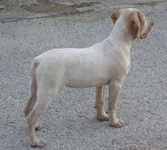 Cliquer pour agrandir/réduire