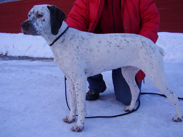 Cliquer pour agrandir/réduire