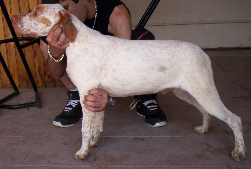 Cash du Marais Bécassier