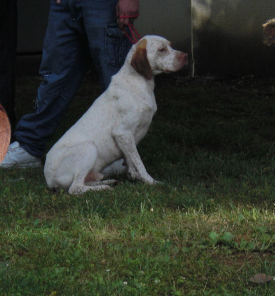 Cash du Marais Bécassier