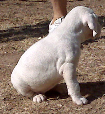 Eva du Rocher des Jastres