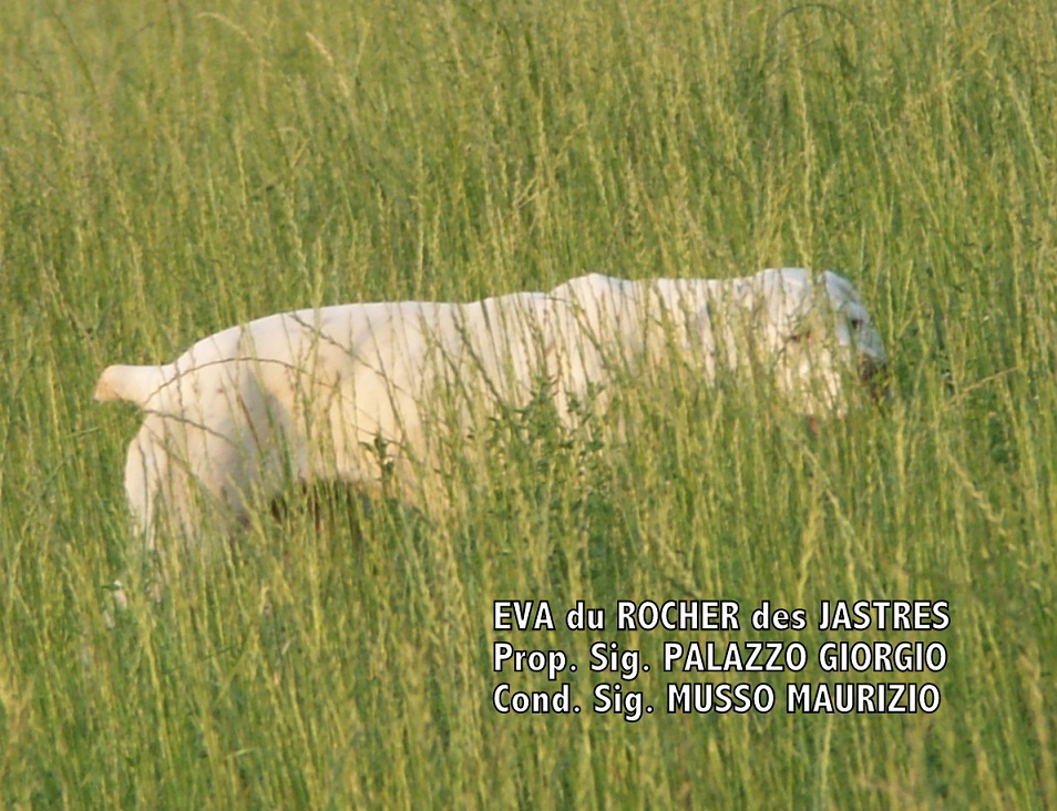 Eva du Rocher des Jastres