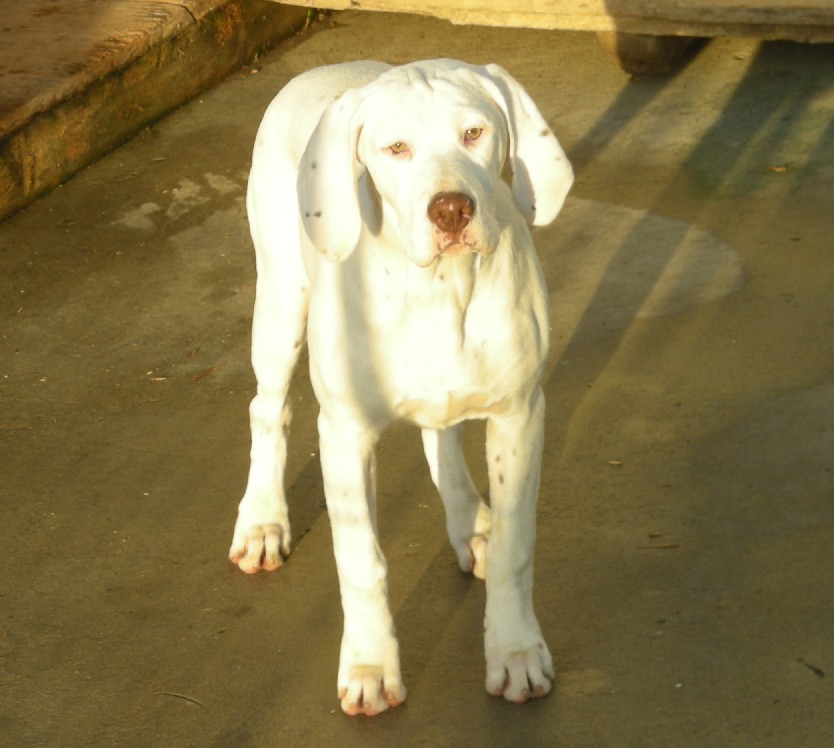 Eva du Rocher des Jastres