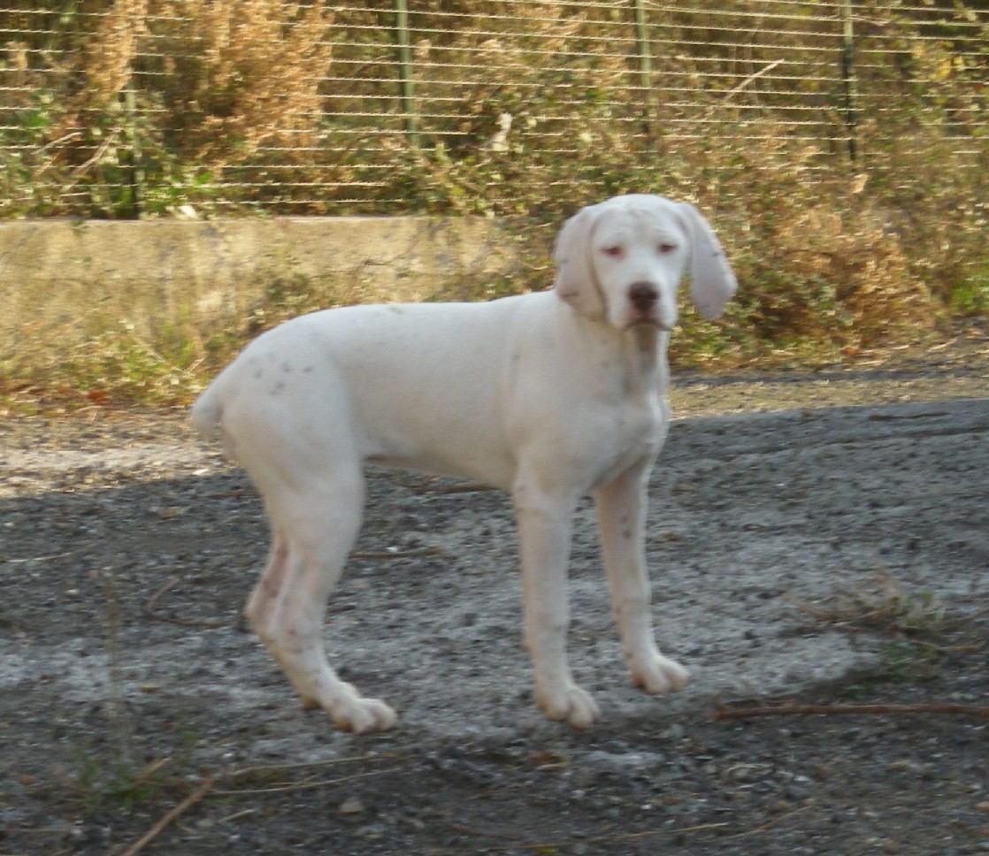 Eva du Rocher des Jastres