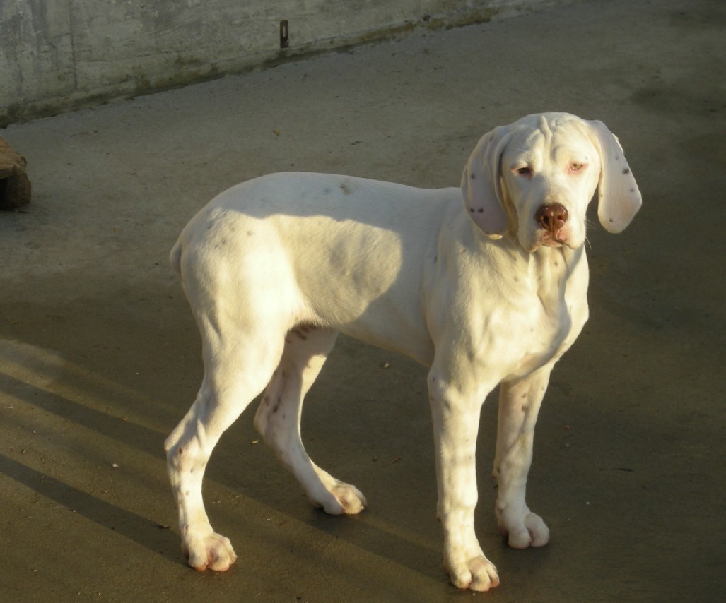 Eva du Rocher des Jastres