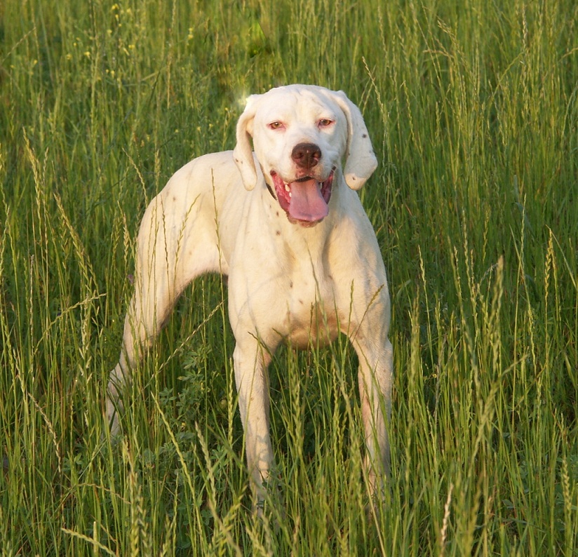 Eva du Rocher des Jastres