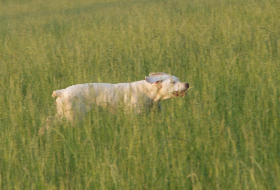 Eva du Rocher des Jastres