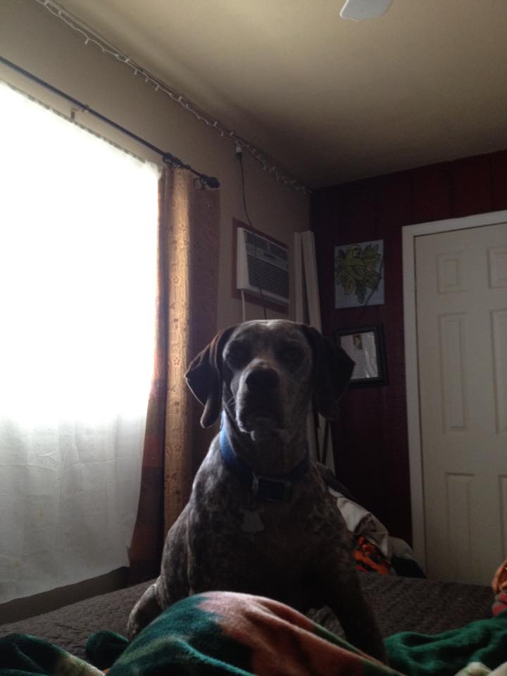 Riley's Serendipity Sophie alias Sara