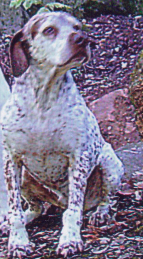 : Rouba du Rocher des Jastres