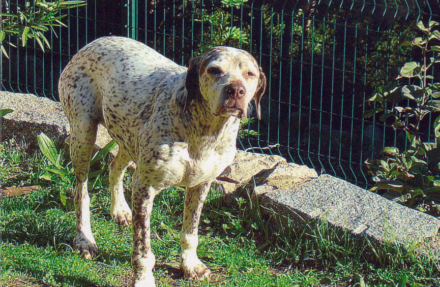 : Rouba du Rocher des Jastres