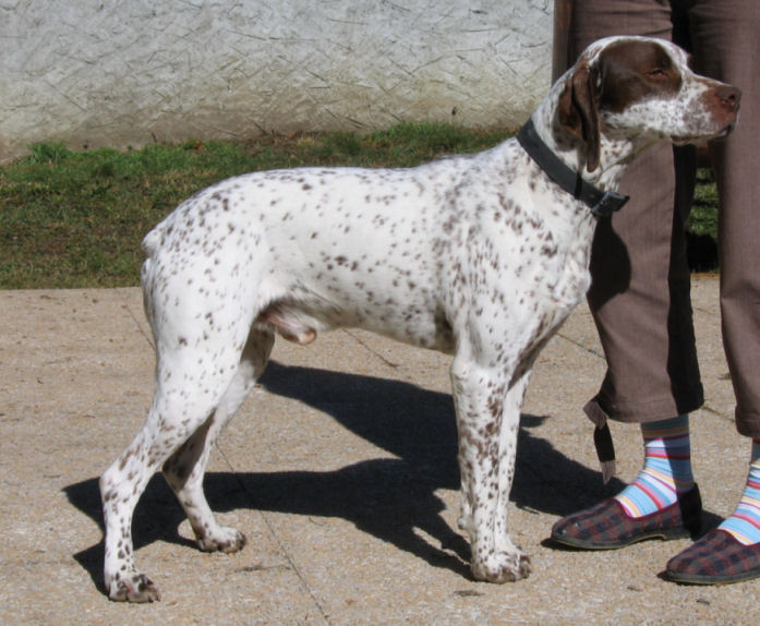 Sanssat du Pays d'Allen