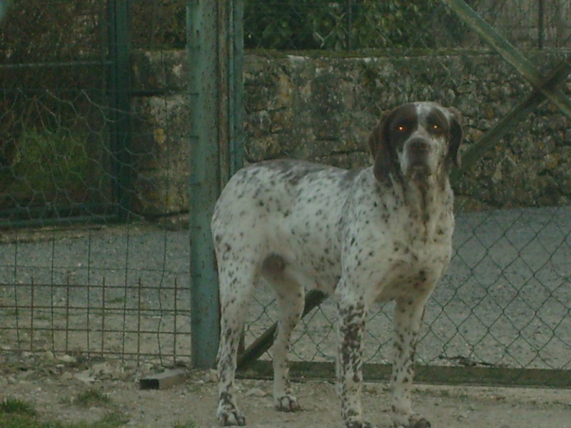 Tess de la Combe De Vars