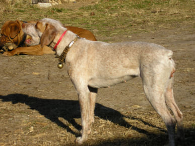 Uline des Peuts Près