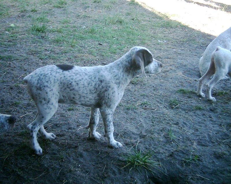 Uranie des Peuts Près