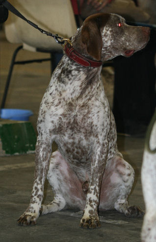 Vic du Rocher des Jastres