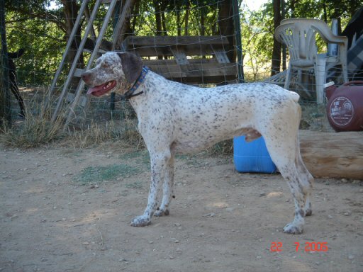 Virus du Fief d'Epsom