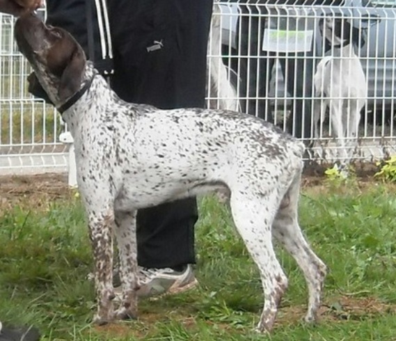 Flora de la Bénigousse