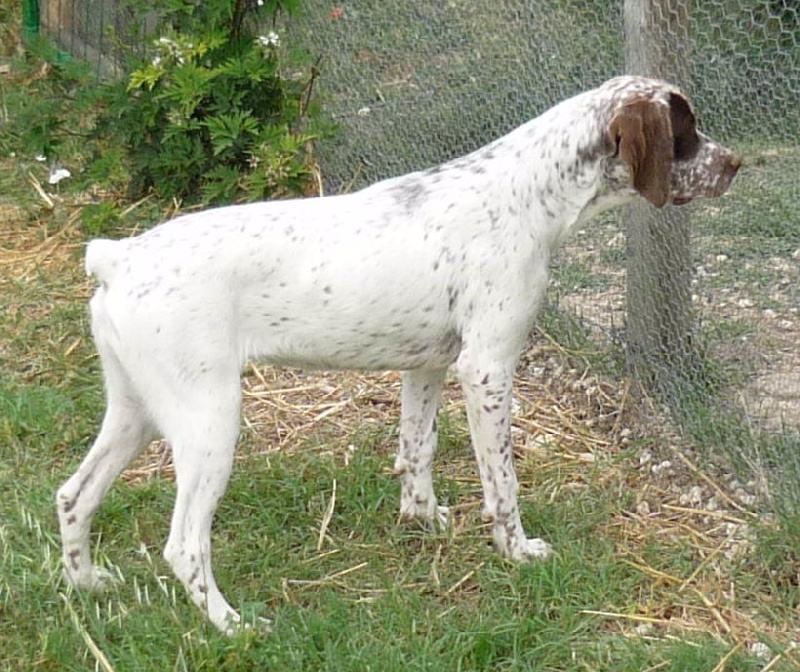 Cliquer pour agrandir/r�duire