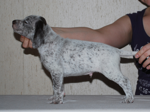 Cliquer pour agrandir/réduire