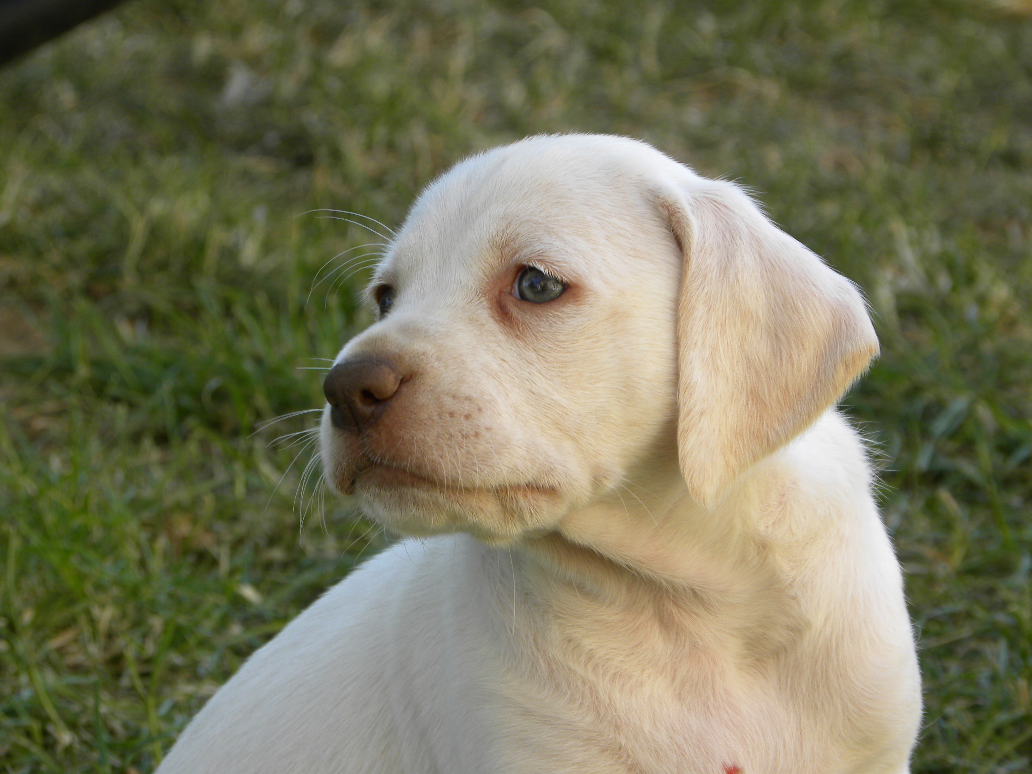 Cliquer pour agrandir/réduire