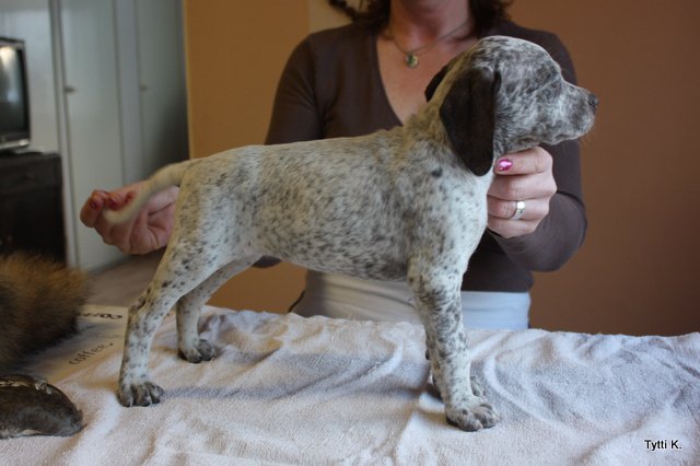 Cliquer pour agrandir/réduire