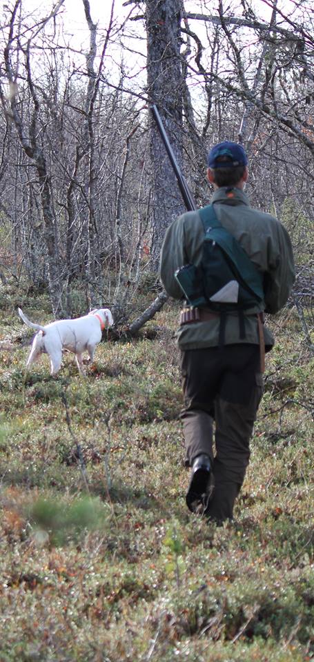 Canine Áttánvuotna alias Diva
