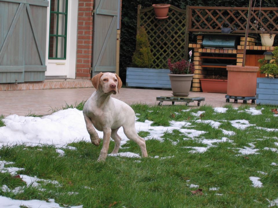 Cliquer pour agrandir/réduire