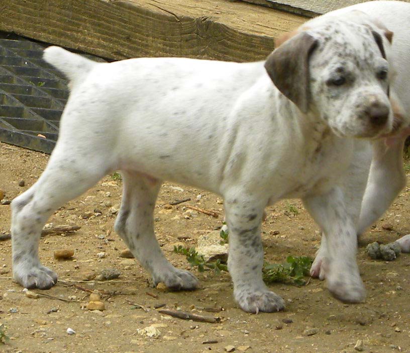 Cliquer pour agrandir/réduire