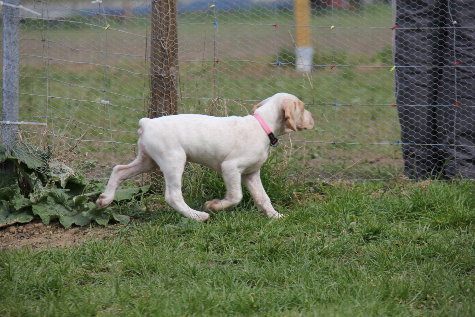 Cliquer pour agrandir/réduire