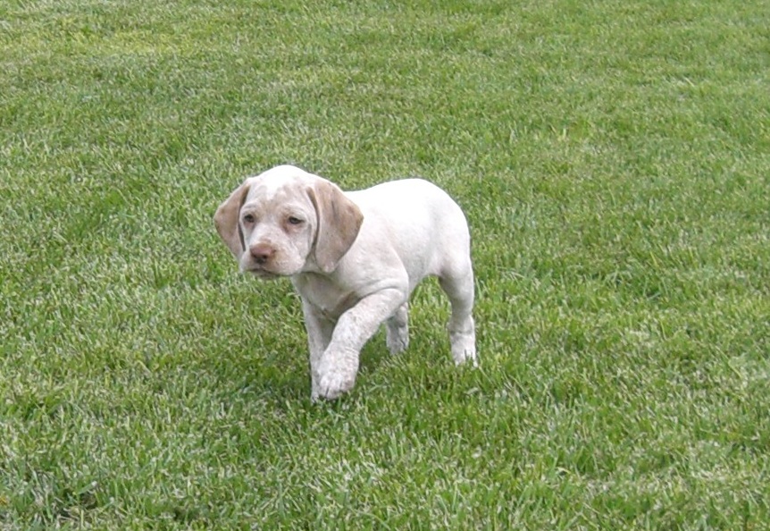 Cliquer pour agrandir/réduire