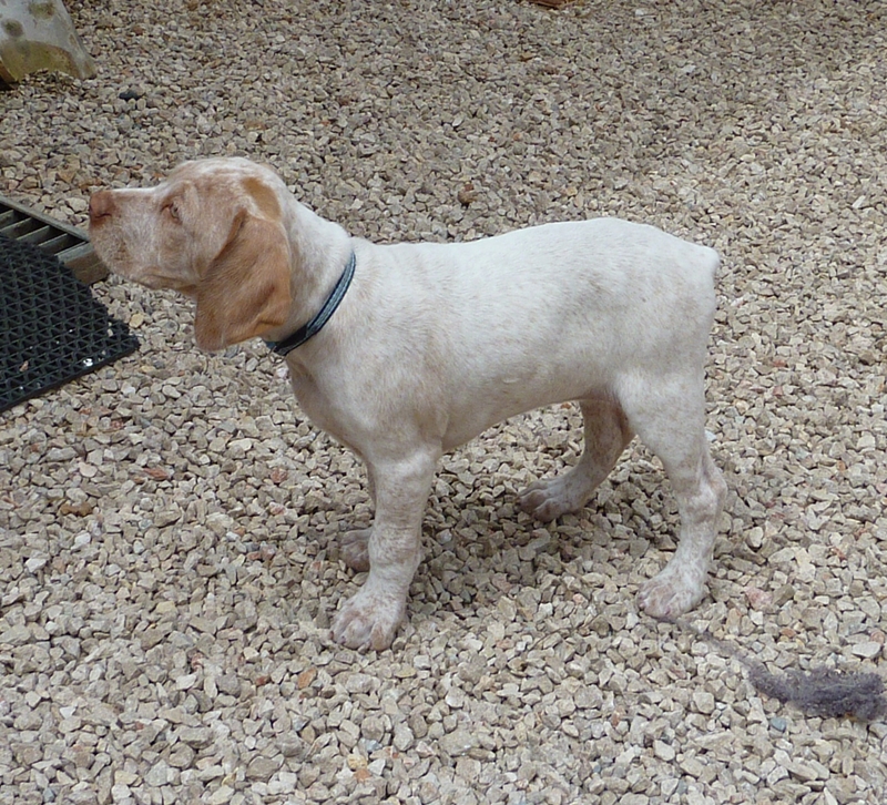 Cliquer pour agrandir/réduire