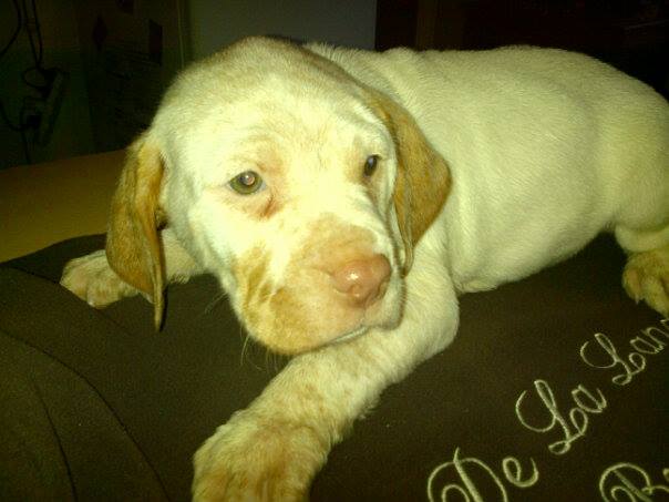 Cliquer pour agrandir/réduire