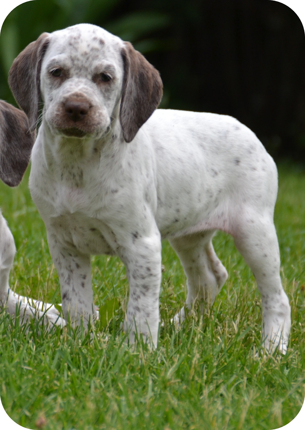 Cliquer pour agrandir/réduire