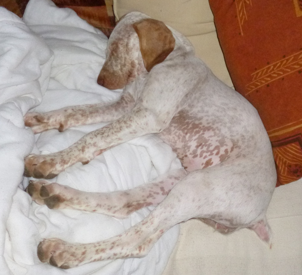 Cliquer pour agrandir/réduire