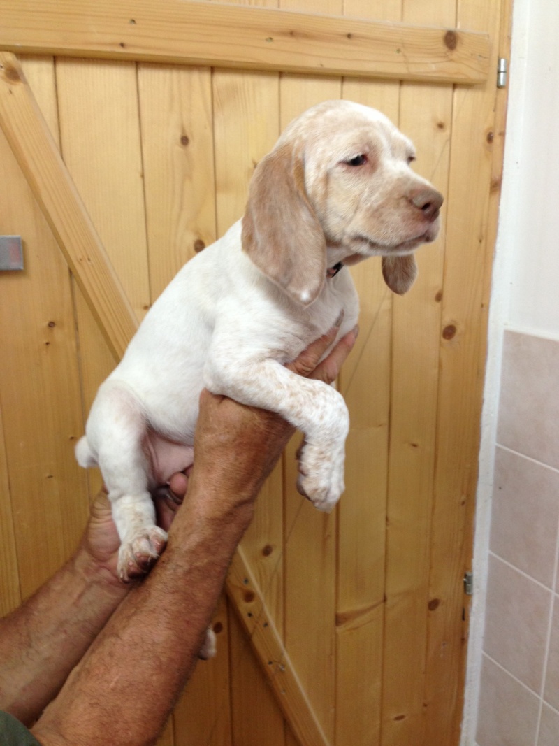 Cliquer pour agrandir/réduire