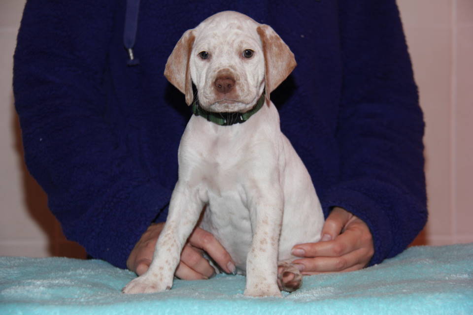 Cliquer pour agrandir/réduire