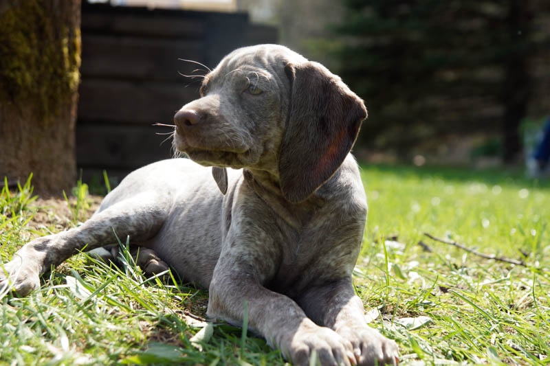 Cliquer pour agrandir/réduire