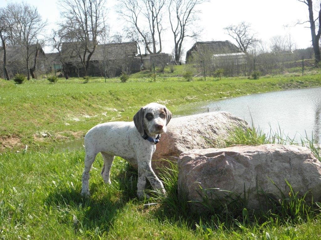 Cliquer pour agrandir/réduire